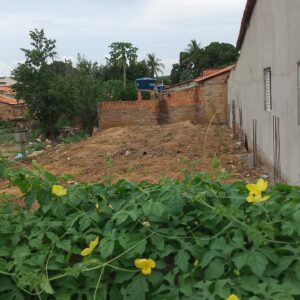 terreno 8m x 25m (200m²) centro